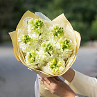 Монобукет из белого антирринума