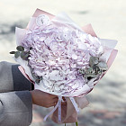 Букет гортензий «Лавандовая меренга»