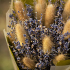 Букетик из сухоцветов «Синичка»