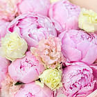 Букет из пионов и эустом «Баблгам»