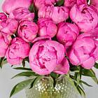 Ярко-розовые пионы