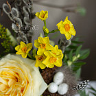 Пасхальная мини-композиция с гнёздышком