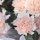 Букет «Ажур»