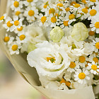 Дуобукет из эустомы и ромашек