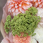 Букет «Абрикосовый сад»