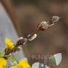 Букет «Мгновение весны»