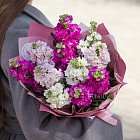 Букет из маттиолы «Пурпурные искры»