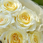 Монобукет из роз Candlelight S