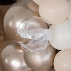 Арка-фотозона с шариками «Champagne»