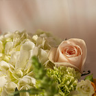 Авторский букет «Lemonade» L