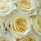 Монобукет из роз Candlelight S