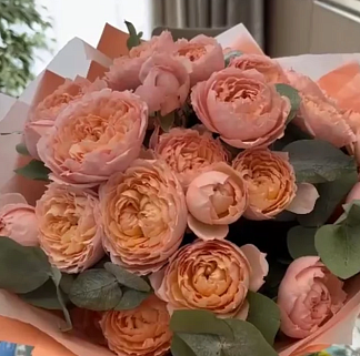 Монобукет из пионовидных роз «Джульетта»