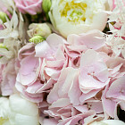 Букет «Нежный поцелуй»