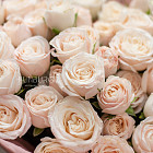 Букет из роз Bombastic «Шарм» с бантиками