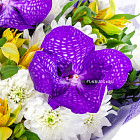 Букет «Бабочки»