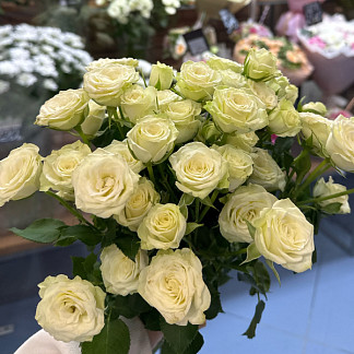  Кустовые розы