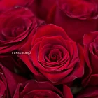 Букет роз в стиле «Вечерний Ургант»