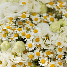 Дуобукет из эустомы и ромашек