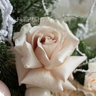 Букет «Морозная вуаль»