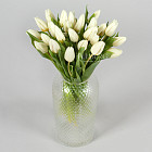 Белые тюльпаны