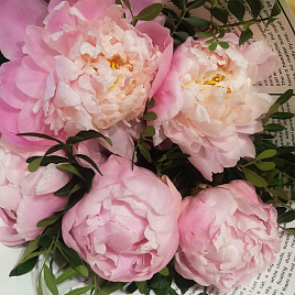 Нежно-розовые пионы