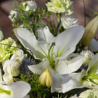 Композиция «Белые ночи» Limited Edition