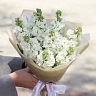 Букет из маттиолы «Пряный аромат»