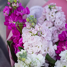 Букет из маттиолы «Пурпурные искры»