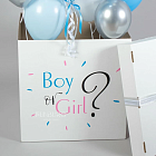 Большая коробка с мини-шариками «Boy or Girl?»
