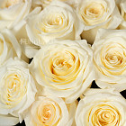 Белые розы Candlelight