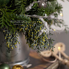 Композиция из нобилиса «В зимнем лесу»