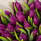 Букет пурпурных тюльпанов L