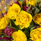 Букет тюльпанов «Фруктовый лед»