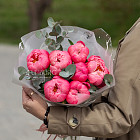 Монобукет из пионов Coral Charm S