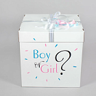 Большая коробка с мини-шариками «Boy or Girl?»