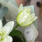 Букет «Оформление лилии»