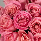 Розовые розы Hermosa