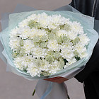 Дуобукет из хризантем и астранции