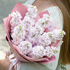 Букет из маттиолы «Сладкая вата»