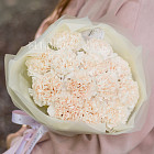 Монобукет из сортовых гвоздик «Ванильный зефир»