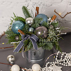 Композиция из нобилиса «Северный ветер»