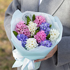 Букет из гиацинтов «Очарование весны»